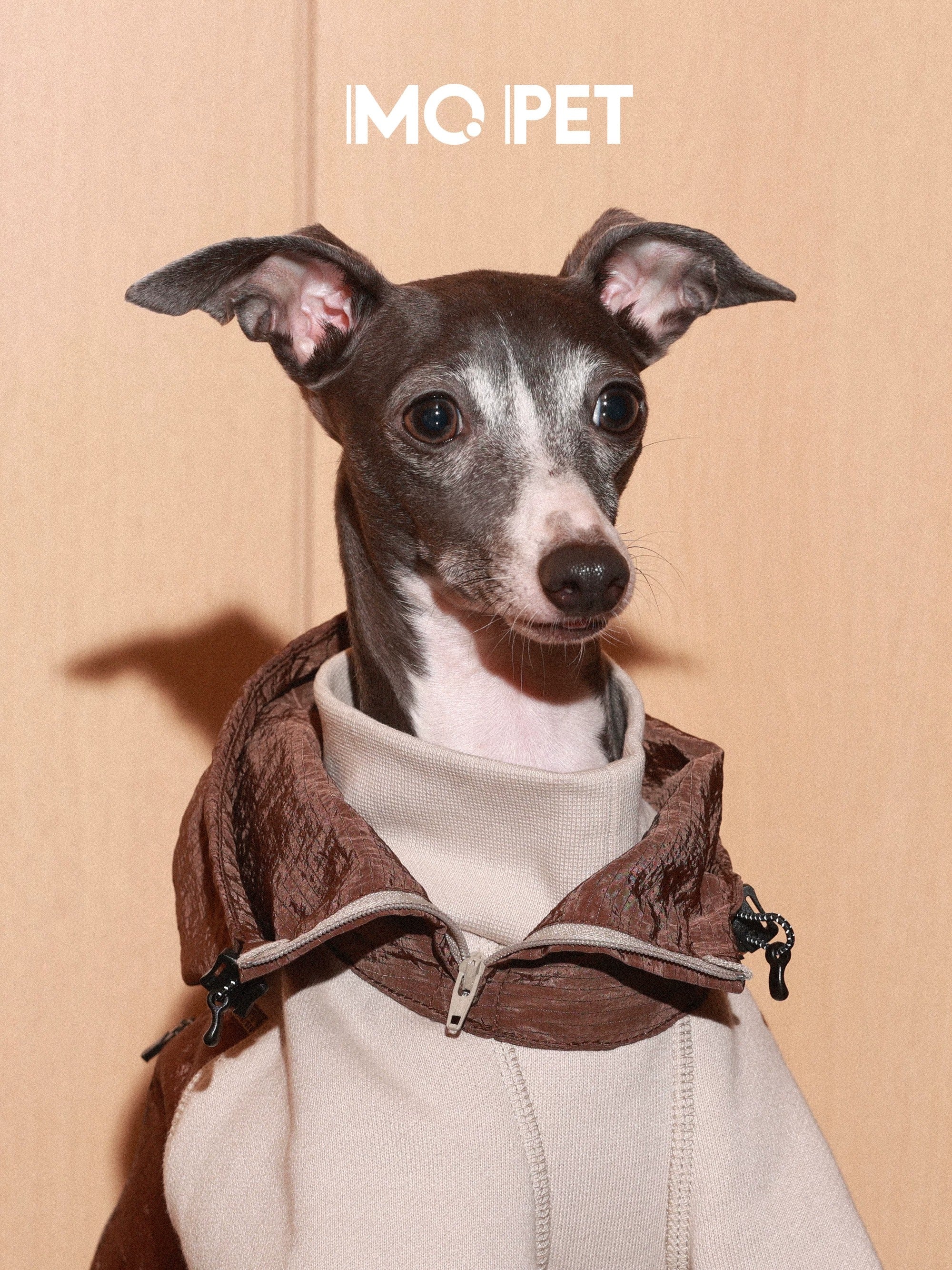 100% Cotton Fleece-Lined Hooded Sweatshirt