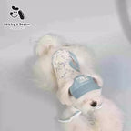 2026 New Dog Spring And Summer High-End Feeling Outdoor Anti Dirty Clothes
