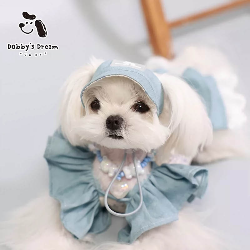 2026 New Four Seasons Universal Dog Spring Summer Luxury Skirt