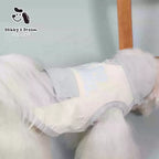 2026 Spring Summer New Dog Thin Cool Handsome Traction Hole Insect proof Clothing