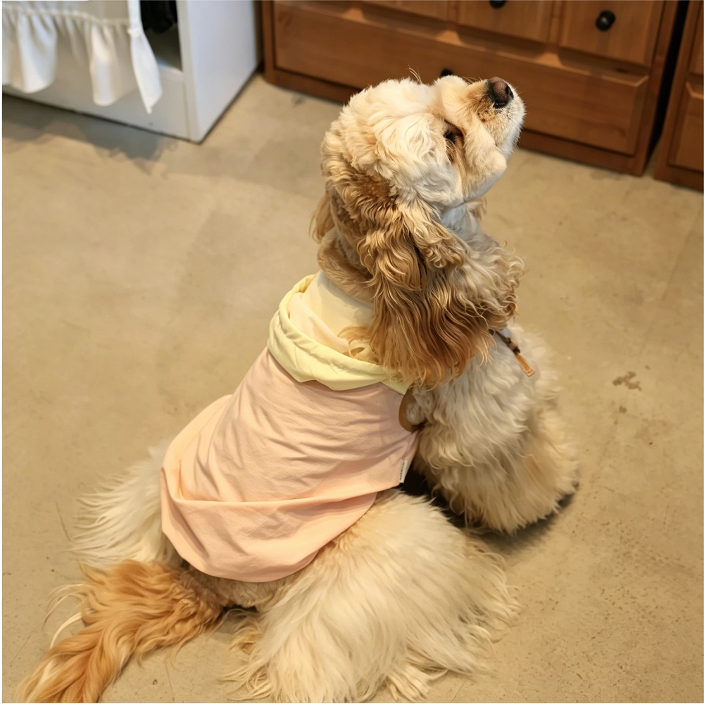 2026 Summer New Style Dog Sunscreen Cooling Clothing