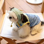 2026 Summer New Style Dog Sunscreen Cooling Clothing