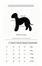 Egge Barn-style Retro Dog Trench Coat