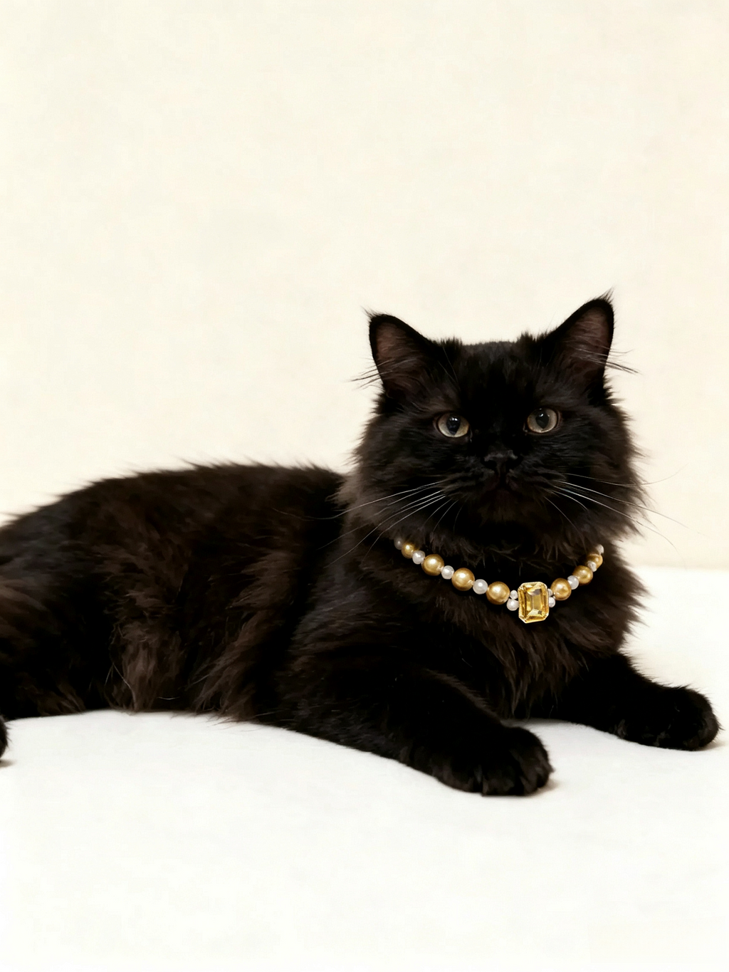 Amber Sugar Cube Pet Necklace
