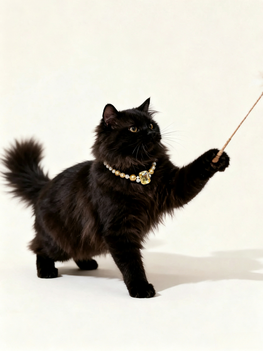 Amber Sugar Cube Pet Necklace