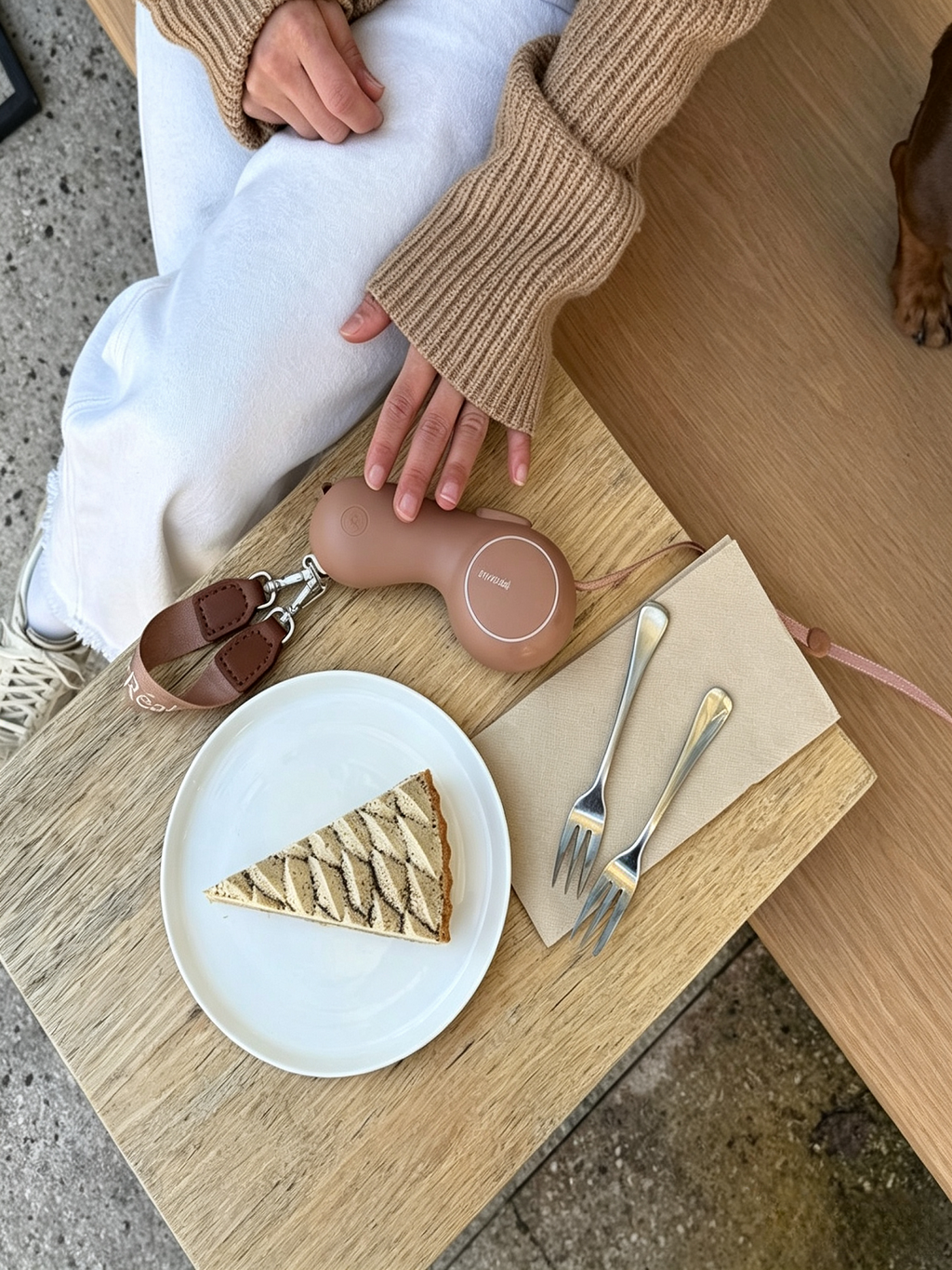 Automatic Retractable Hand Warmer Pet Leash