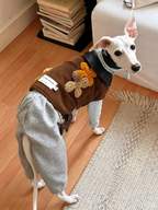 Autumn And Winter Pet Corduroy Cotton Coat