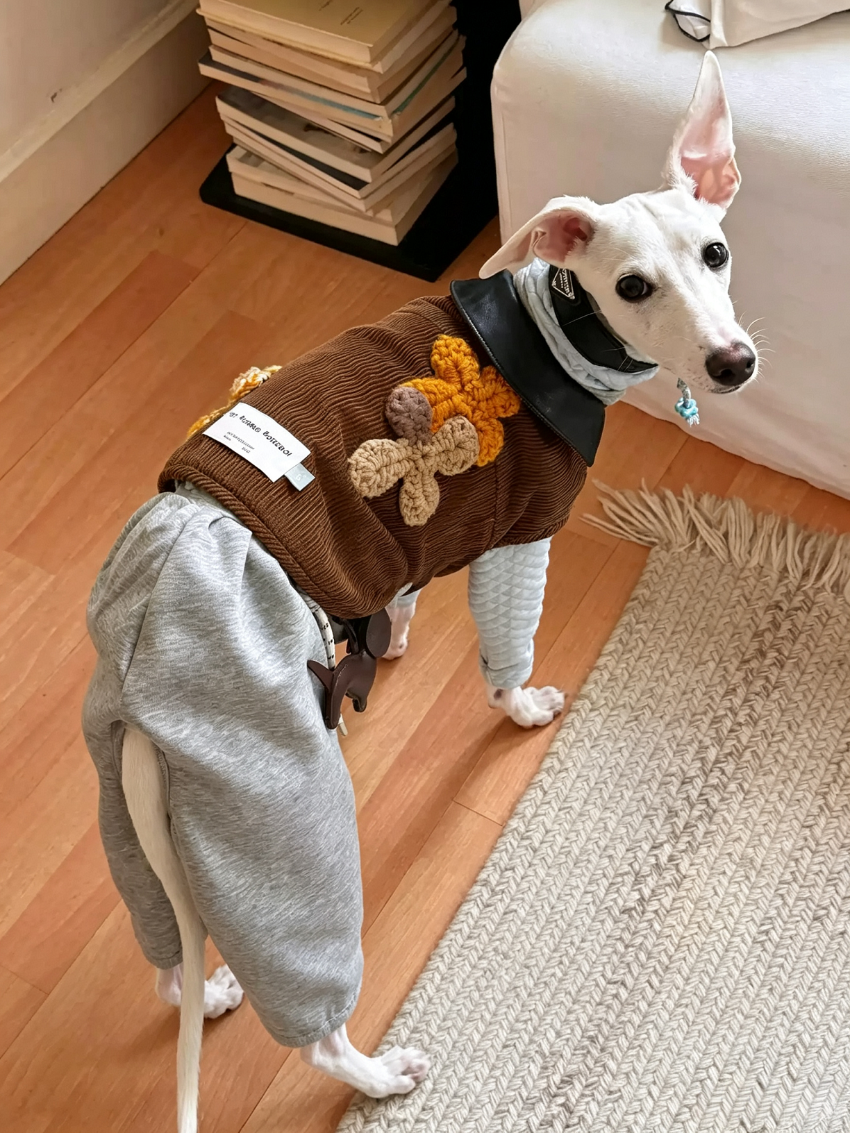 Autumn And Winter Pet Corduroy Cotton Coat