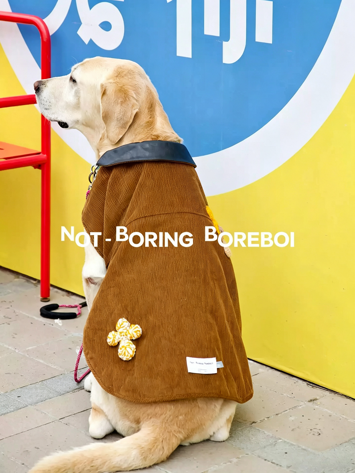 Autumn And Winter Pet Corduroy Cotton Coat