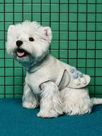 Autumn And Winter Pet Lamb Fleece Jacket