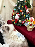 Autumn And Winter Pet Lamb Fleece Jacket