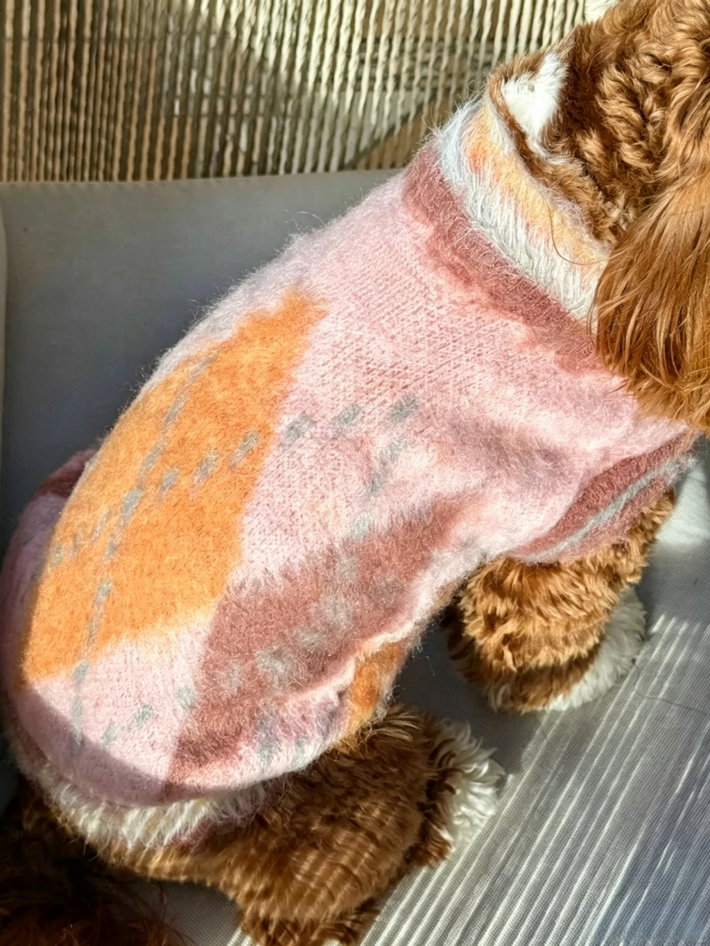 Autumn And Winter Pet Wool Thermal Vest