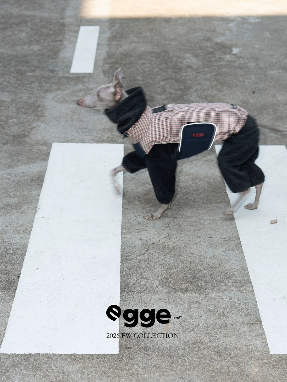 Autumn Winter 90% White Duck Down Vest