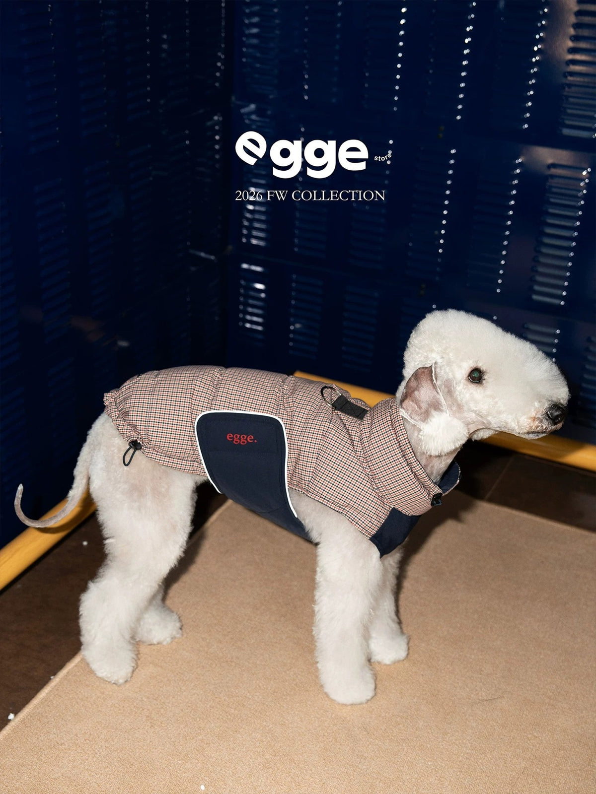 Autumn Winter 90% White Duck Down Vest