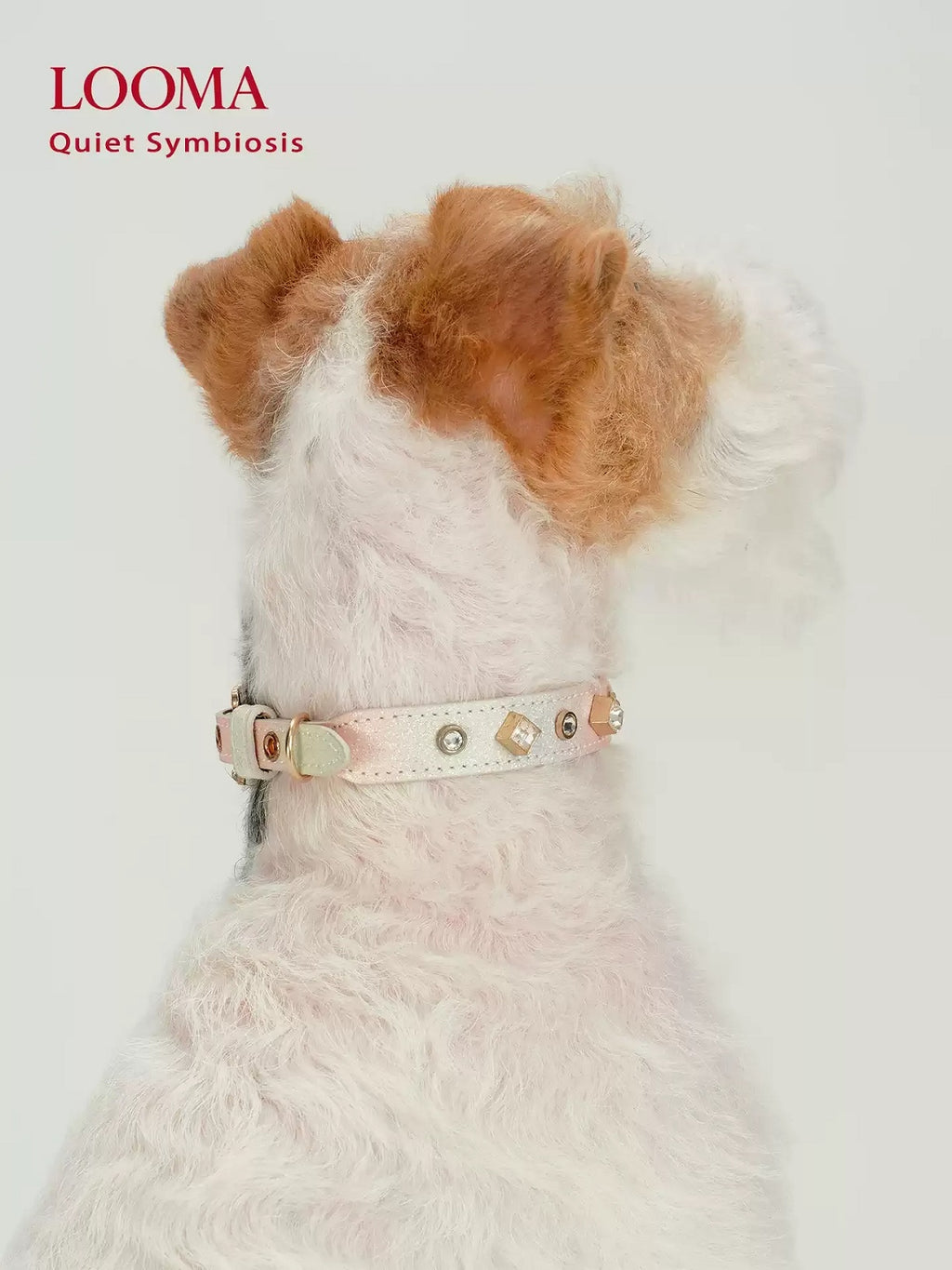 Beaded Decorative Pet Collar
