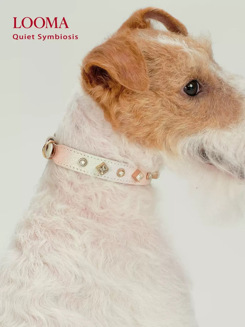 Beaded Decorative Pet Collar