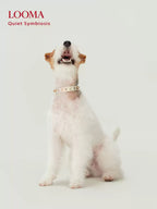 Beaded Decorative Pet Collar