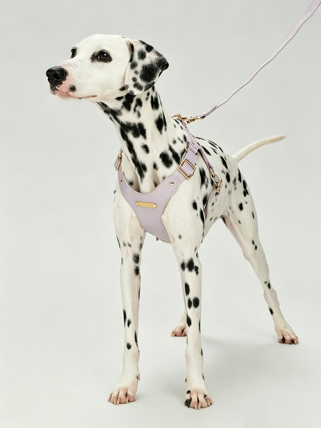 Breathable Soft Leather Pet Harness And Collar Set