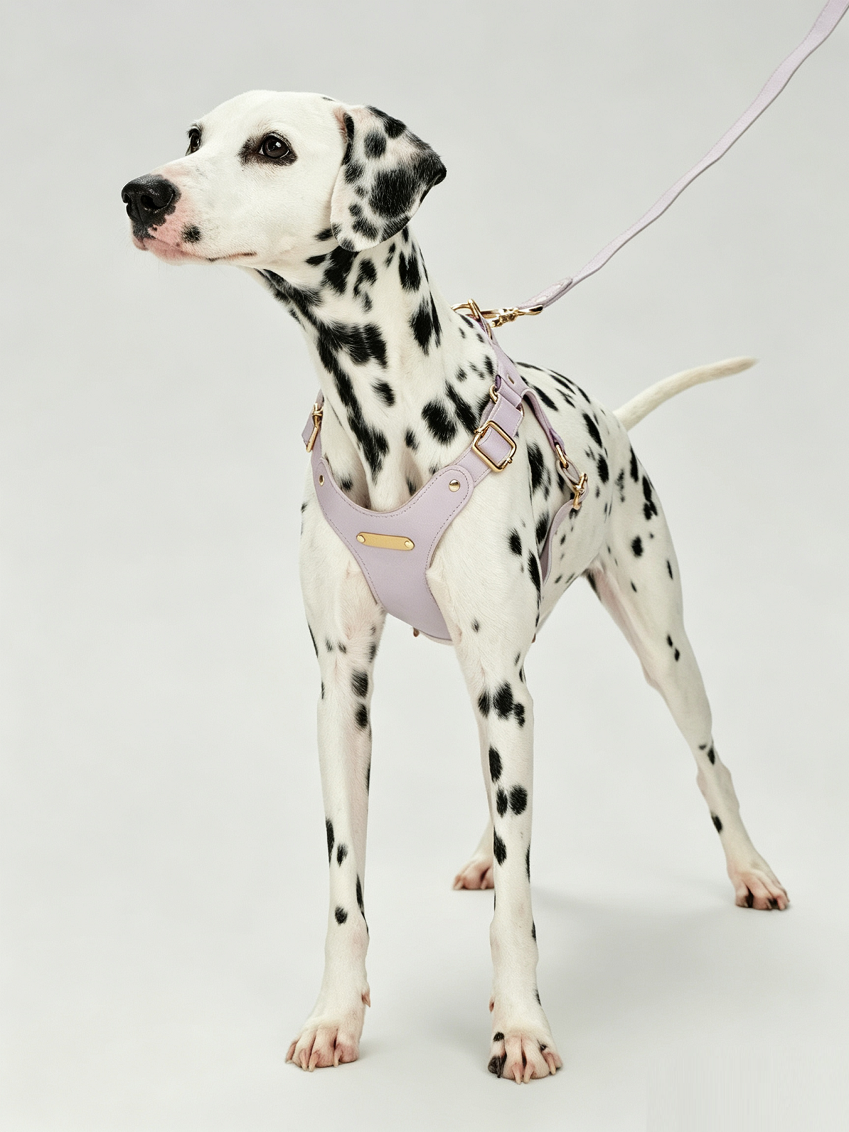 Breathable Soft Leather Pet Harness And Collar Set