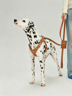 Breathable Soft Leather Pet Harness And Collar Set