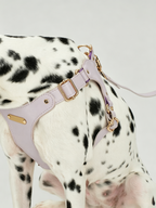 Breathable Soft Leather Pet Harness And Collar Set
