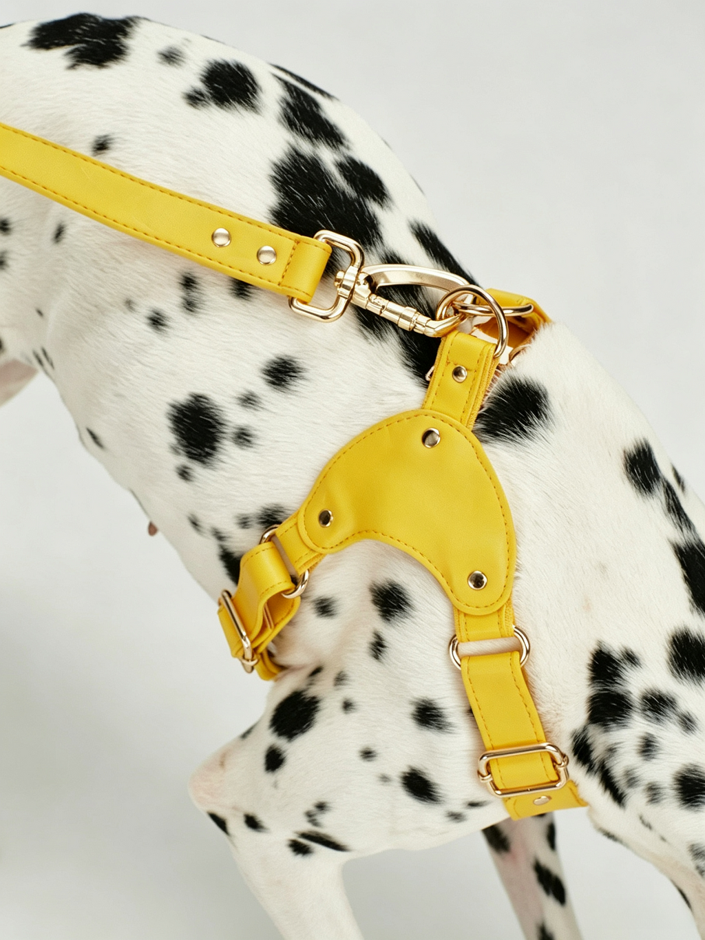Breathable Soft Leather Pet Harness And Collar Set