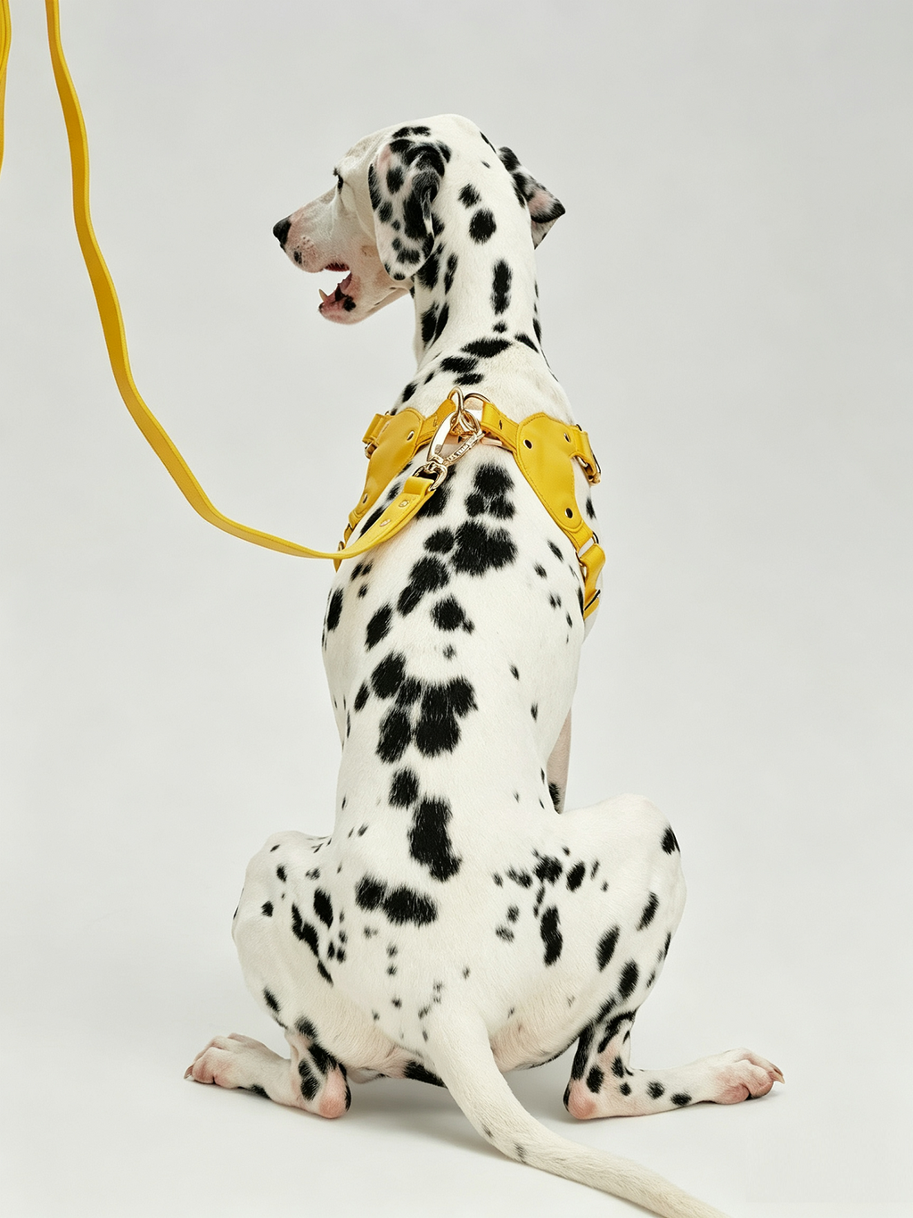 Breathable Soft Leather Pet Harness And Collar Set