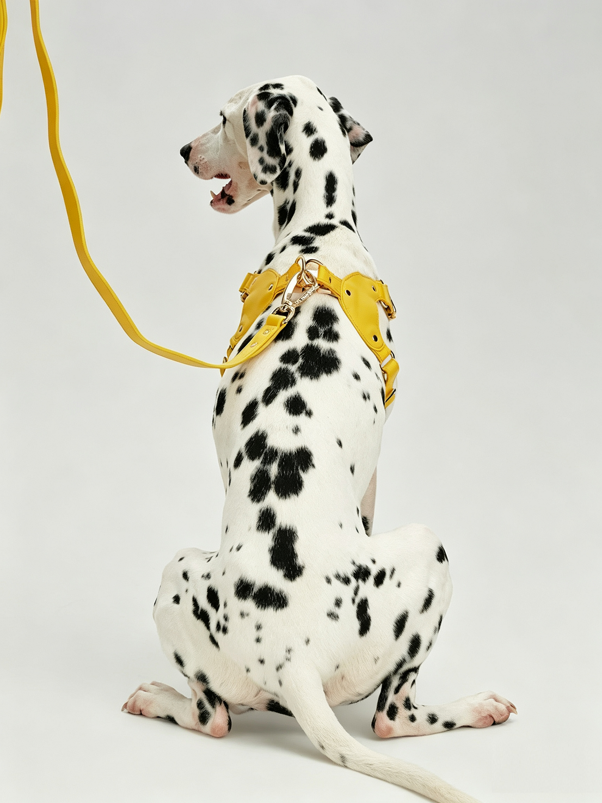 Breathable Soft Leather Pet Harness And Collar Set