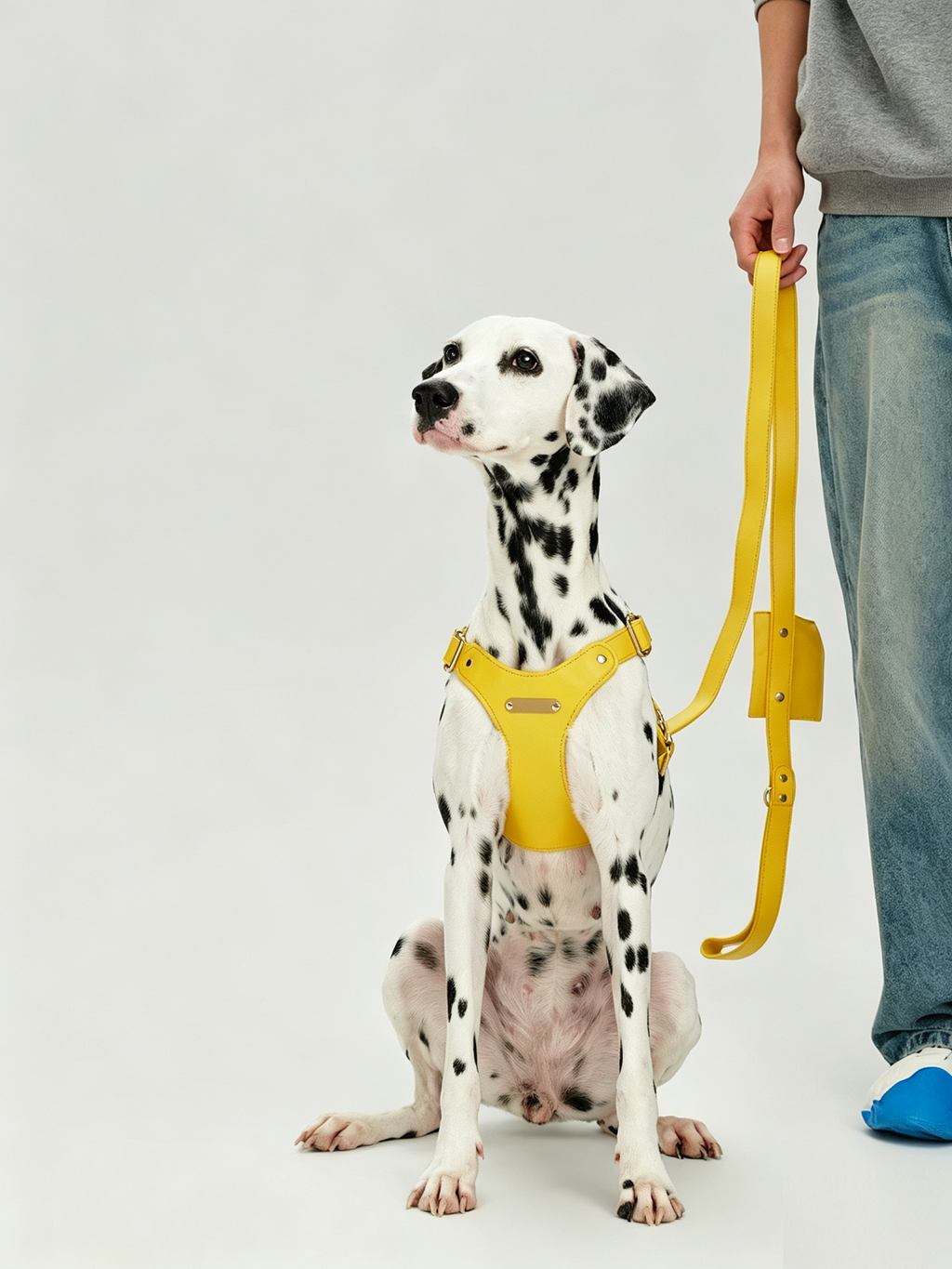 Breathable Soft Leather Pet Harness And Collar Set