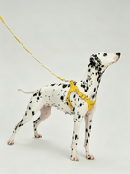 Breathable Soft Leather Pet Harness And Collar Set