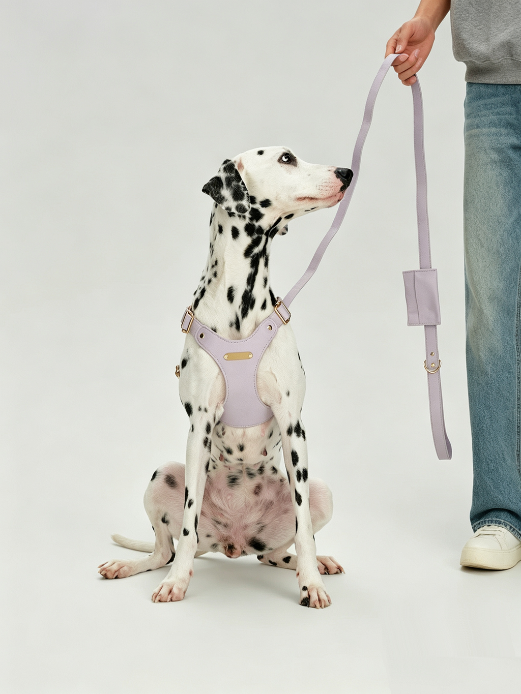 Breathable Soft Leather Pet Harness And Collar Set