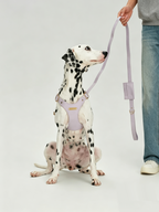 Breathable Soft Leather Pet Harness And Collar Set