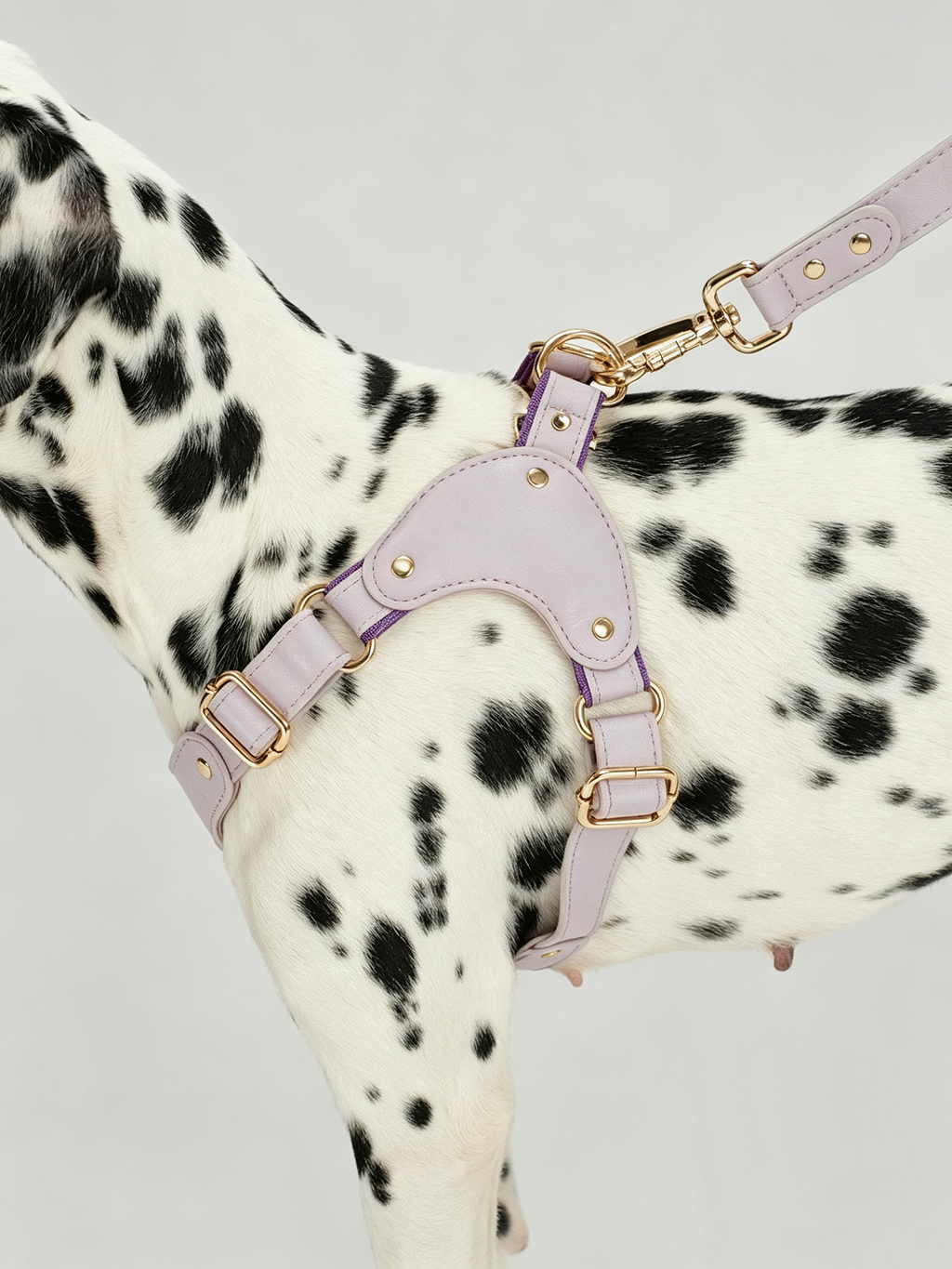 Breathable Soft Leather Pet Harness And Collar Set