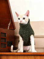 British Retro Pet Sweater