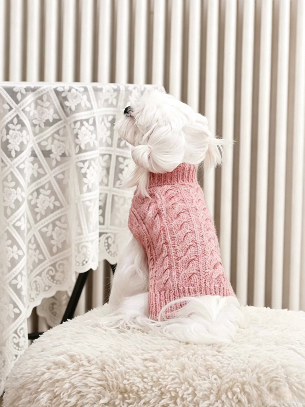 British Retro Pet Sweater