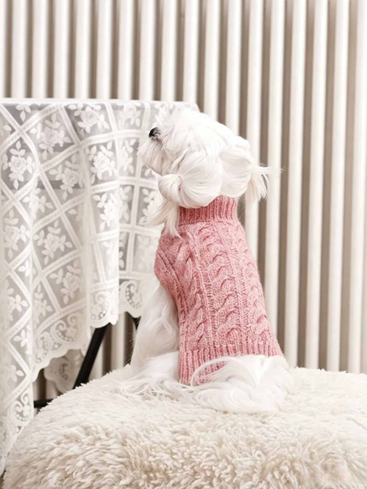 British Retro Pet Sweater