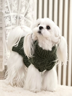 British Retro Pet Sweater