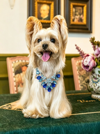 Pet Pearl Diamond Necklace
