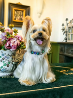 Pet Pearl Diamond Necklace