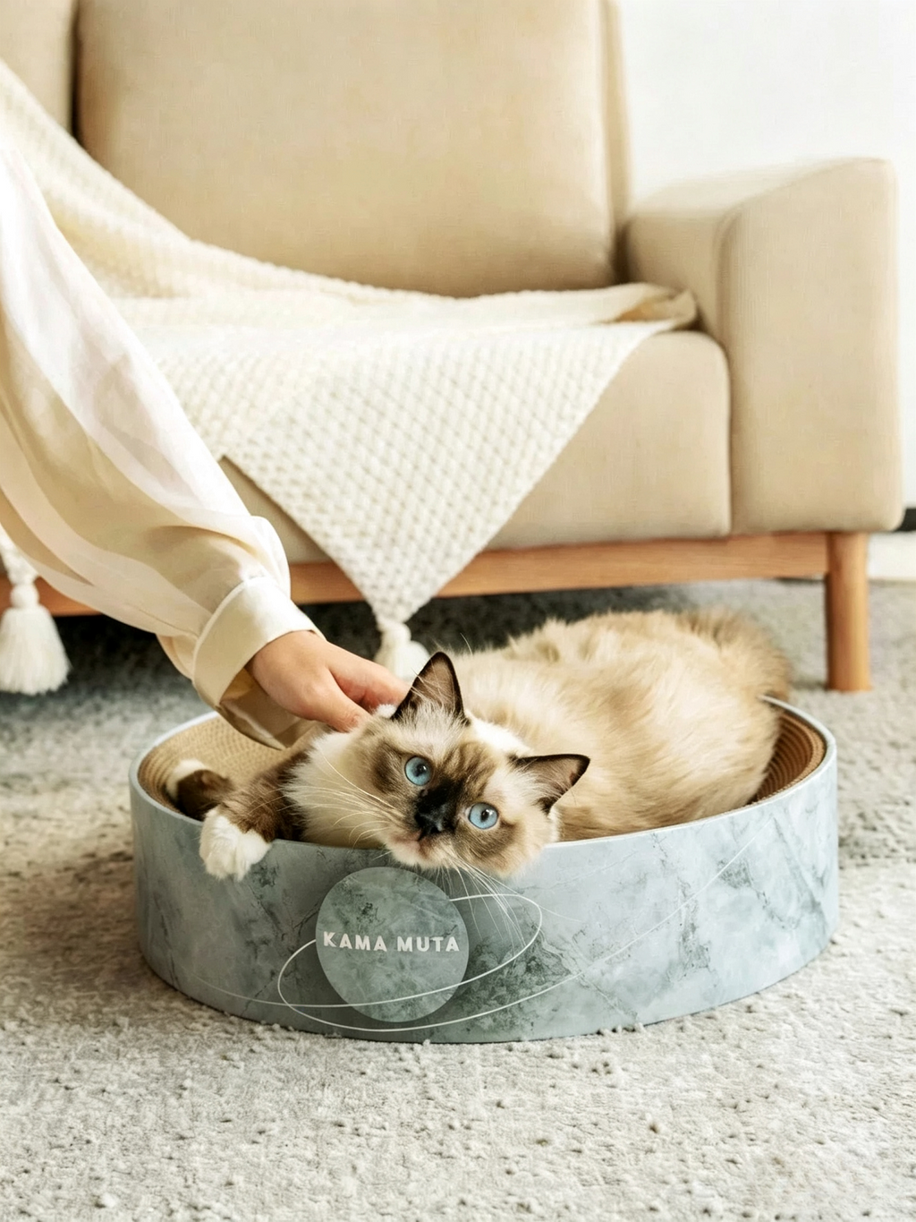 Cat Scratching Post