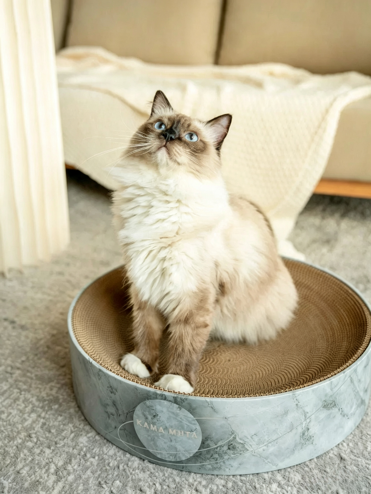 Cat Scratching Post