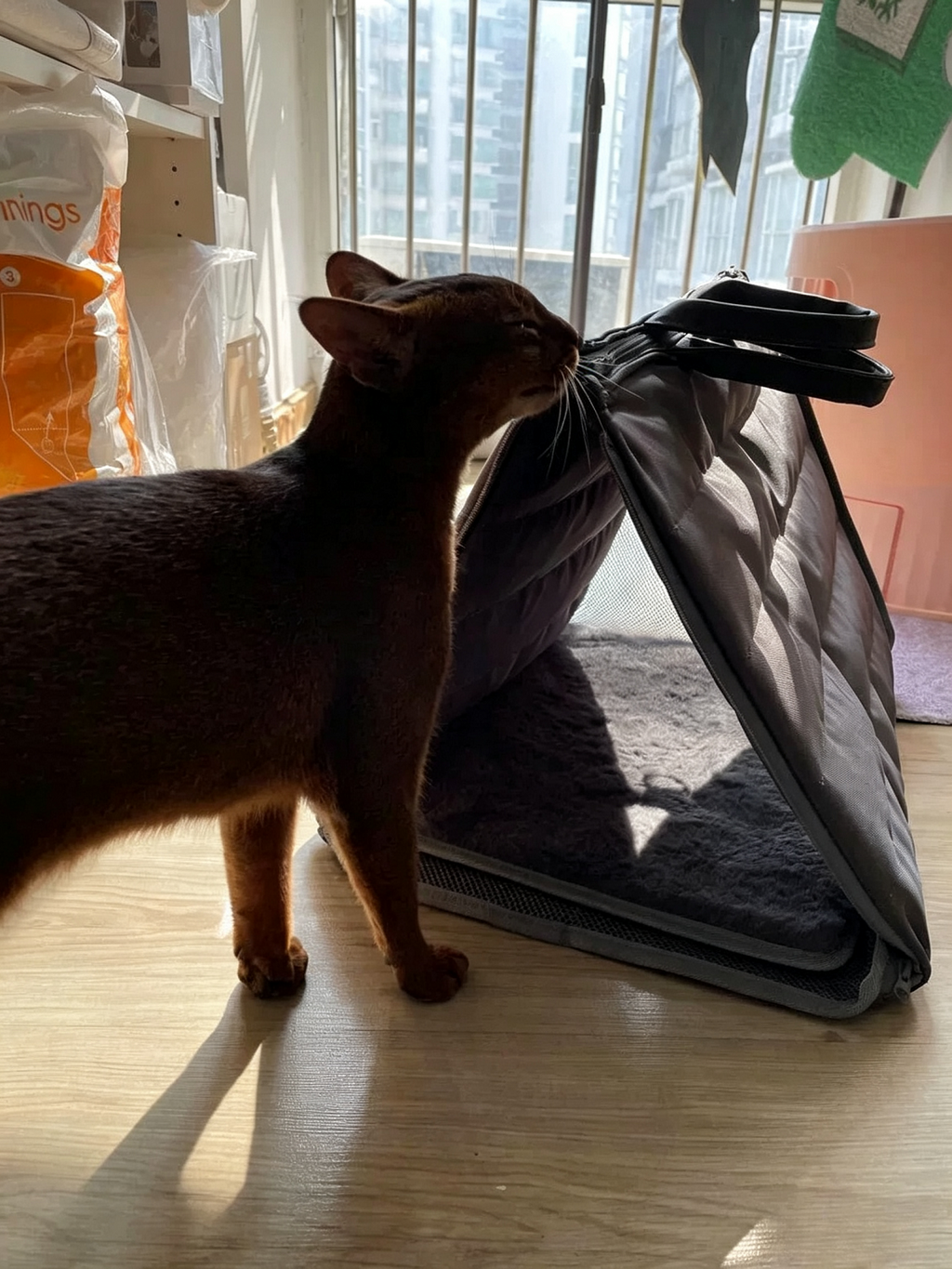 Cat Tent Carrier Bag