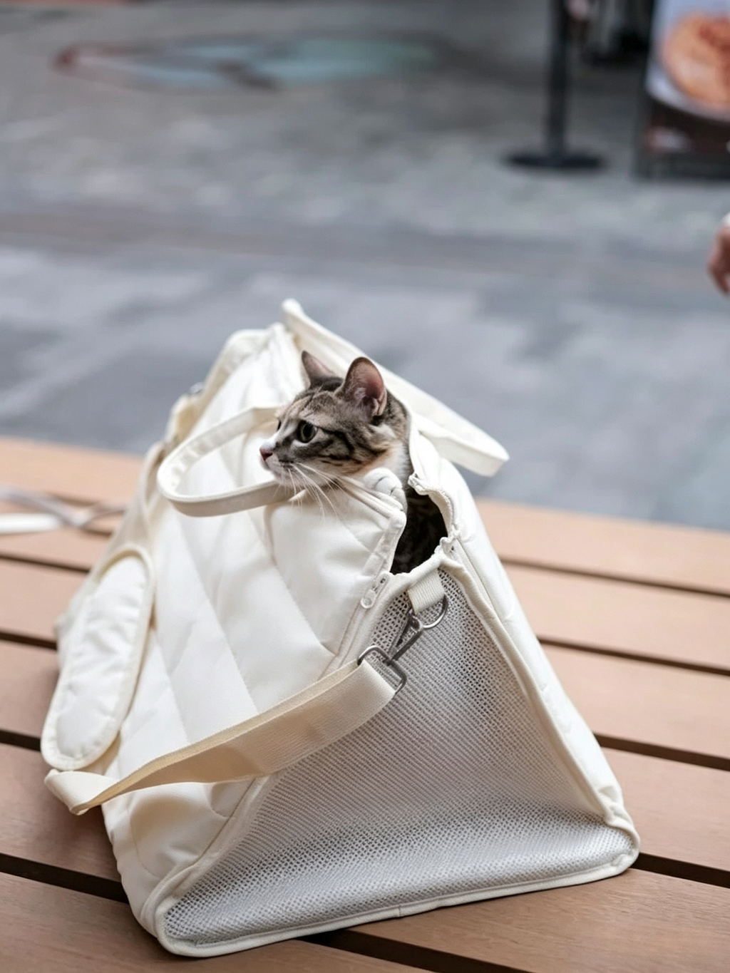 Cat Tent Carrier Bag