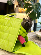Cat Tent Carrier Bag