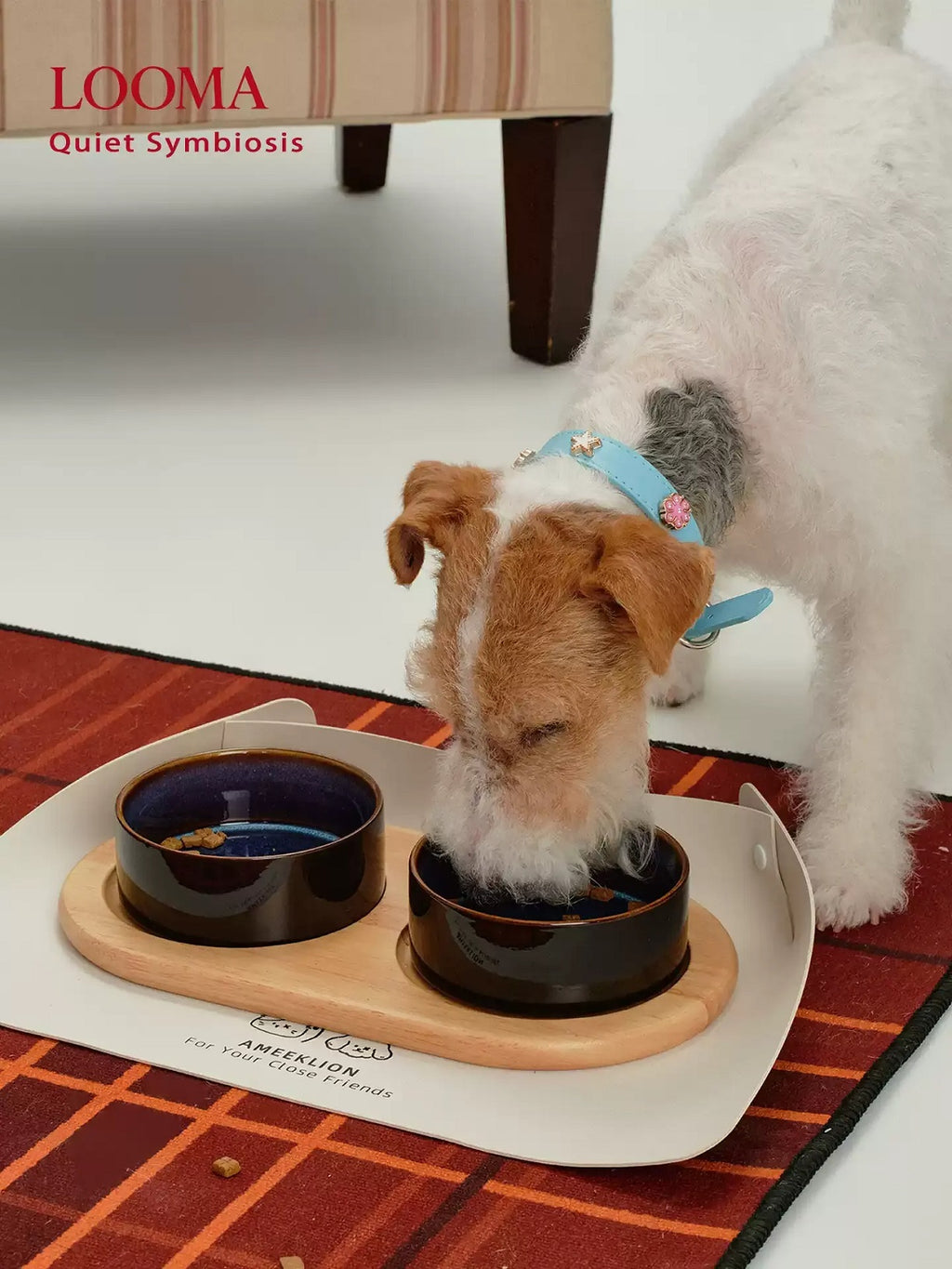 Ceramic Pet Double Bowl Tray Set