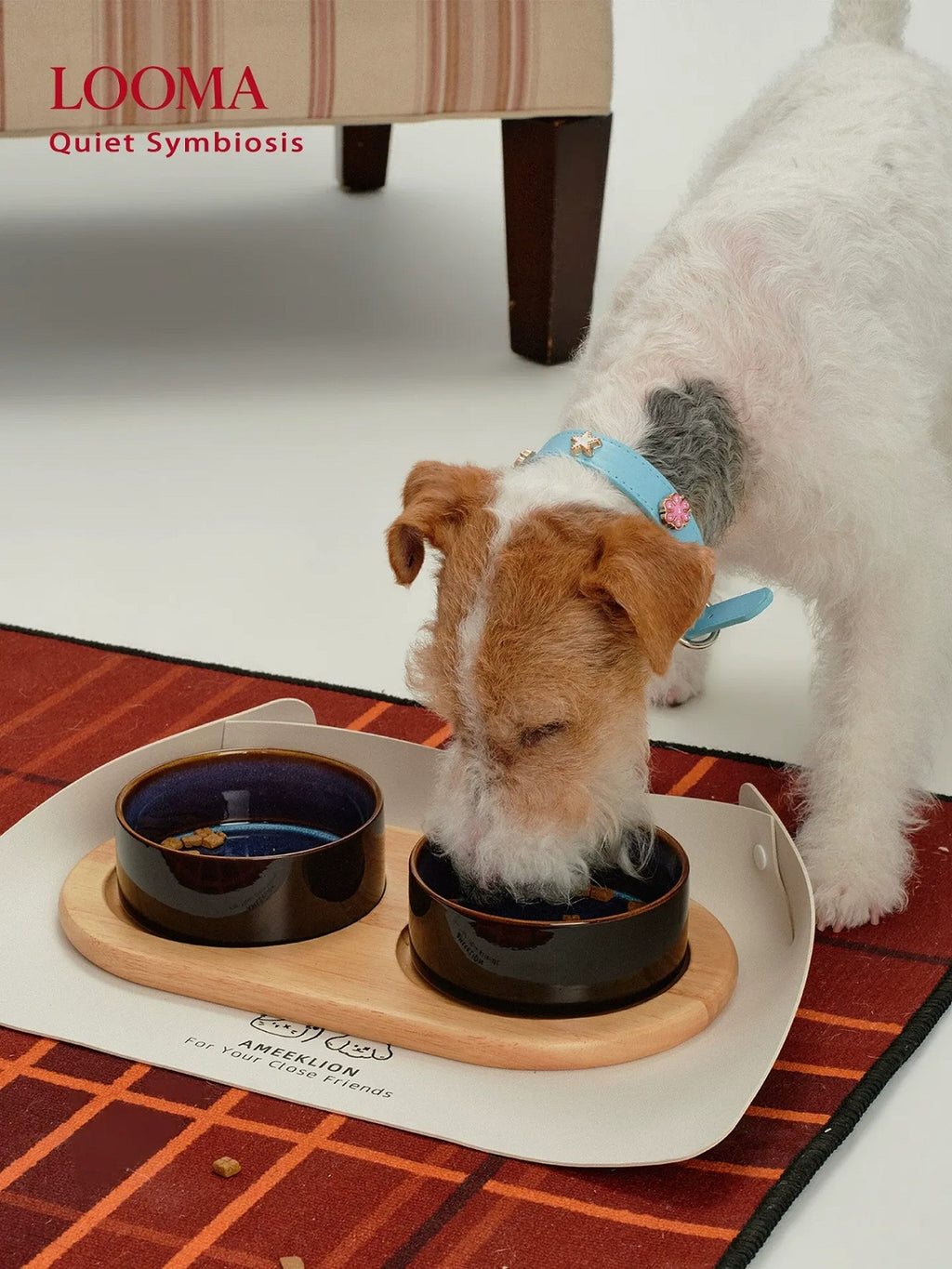 Ceramic Pet Double Bowl Tray Set