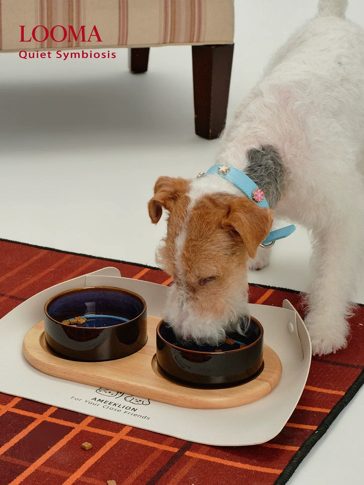 Ceramic Pet Double Bowl Tray Set