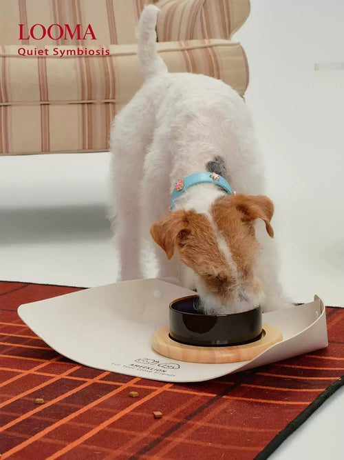 Ceramic Pet Double Bowl Tray Set