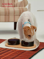 Ceramic Pet Double Bowl Tray Set