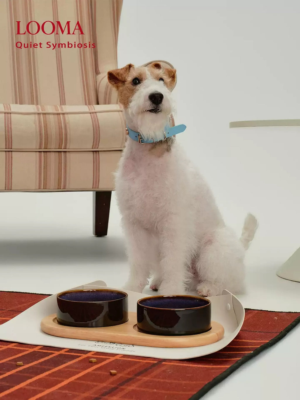 Ceramic Pet Double Bowl Tray Set